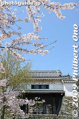 Entrance to the castle tower complex is via this gate called Kusunoki-mon. 楠門
Keywords: wakayama castle cherry blossoms sakura flowers 