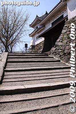 Steps tp Kusunoki-mon Gate.
Keywords: wakayama castle cherry blossoms sakura flowers 