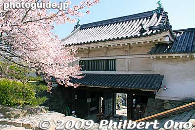Kusunoki-mon (back side) 楠門
Keywords: wakayama castle cherry blossoms sakura flowers 