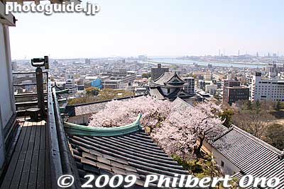 Looking toward Inui Turret
Keywords: wakayama castle cherry blossoms sakura flowers 