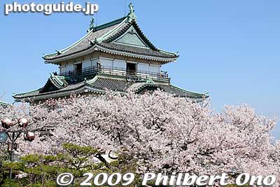 Wakayama Castle as seen from Inui Turret. 
Keywords: wakayama castle cherry blossoms sakura flowers japancastle