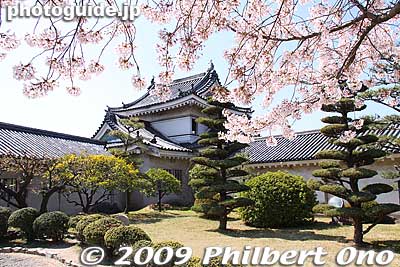 Inui Turret
Keywords: wakayama castle cherry blossoms sakura flowers 