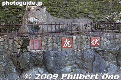 Wakayama Castle is on 48.9-meter-high Mt. Torafusu (虎伏) which resembles a tiger lying on its side when seen from the ocean. The castle is also called Torafusu-jo (lying tiger castle). This tiger statue was created in 1959.
Keywords: wakayama castle 