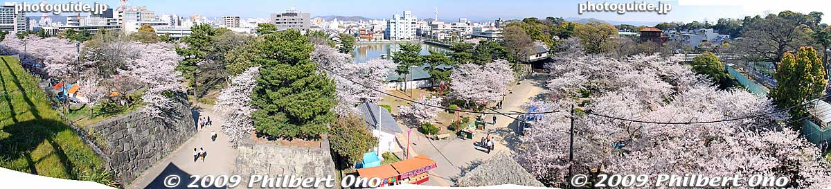 Panoramic view of cherry blossoms and Okaguchi-mon Gate.
Keywords: wakayama castle cherry blossoms sakura flowers 