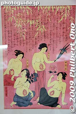 Medical drawing showing pregnant Japanese women.
Keywords: yamagata kajo park museum 