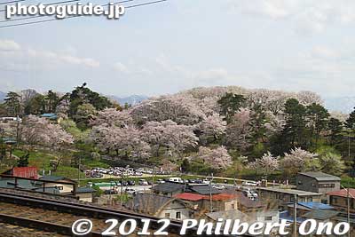 This is what Eboshiyama Park looks like from the train.
Keywords: yamagata nanyo eboshiyama park cherry blossoms sakura flowers