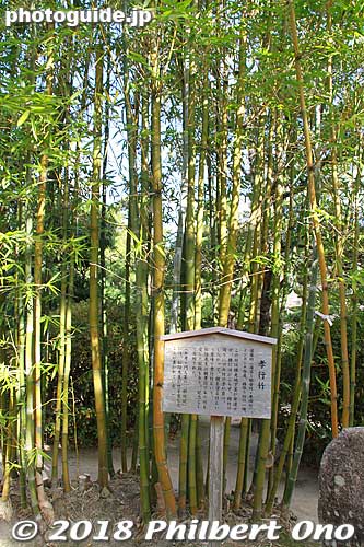 Filial piety bamboo.
Keywords: yamaguchi hagi yoshida shoin jinja shrine