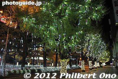 The trees along the main road in front of Tokuyama Station was festooned with lights.
Keywords: yamaguchi shunan tokuyama station night illumination holiday lights