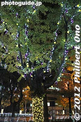 Keywords: yamaguchi shunan tokuyama station night illumination holiday lights