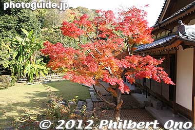 Keywords: yamaguchi ube Japanese garden Ryushintei Zen buddhist Rinzai Sorinji temple autumn leaves maple momiji