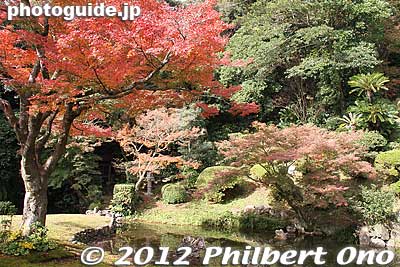 Ryushintei Garden is Yamaguchi Prefecture's oldest Japanese garden. A mountain ridge and pond are used as part of the garden. Only two Japanese gardens in Japan are like this.
Keywords: yamaguchi ube Japanese garden Ryushintei Zen buddhist Rinzai Sorinji temple autumn leaves maple momiji