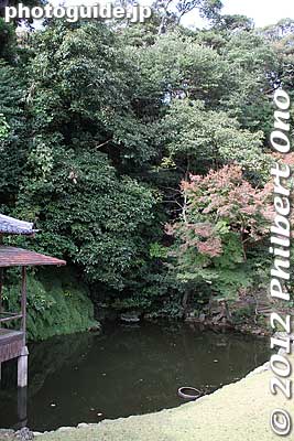 Ryushintei Garden pond.
Keywords: yamaguchi ube Japanese garden Ryushintei Zen buddhist Rinzai Sorinji temple
