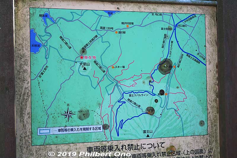 Keywords: yamanashi fujikawaguchiko aokigahara forest