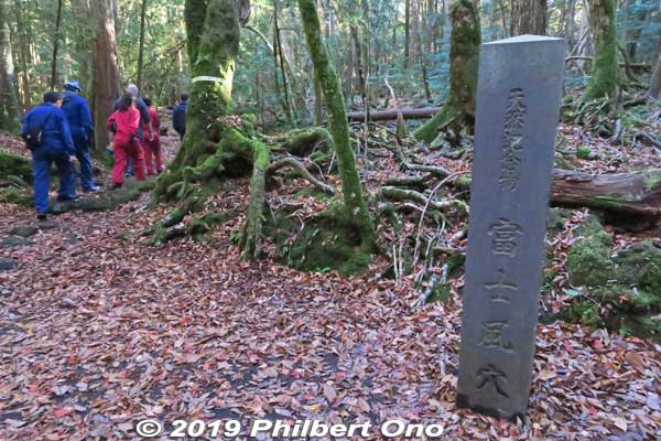 After walking about 15 min., we got to the Fuji Wind Cave (Fuji Fuketsu). This is the stone marker for it. 
There's no "wind" in the cave. It's just a name. 富士風穴 (ふじふうけつ)
Keywords: yamanashi fujikawaguchiko aokigahara forest