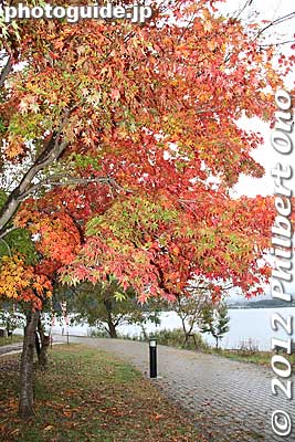 Lake Kawaguchi, Yamanashi.
Keywords: yamanashi fuji kawaguchiko-machi lake kawaguchi japanaki japannationalpark