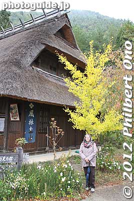 Keywords: yamanashi fuji-kawaguchiko-machi lake saiko Saiko Iyashi-no-Sato Nenba thatched-roof houses homes minka