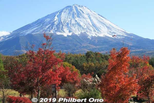 I visited Narusawa on a beauitful autumn day with snow-capped Mt. Fuji and autumn foliage. Narusawa, Yamanashi Prefecture.
Keywords: yamanashi Narusawa mt. fuji fujimt japanmt japanaki