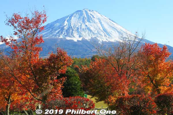 Mt. Fuji in autumn.
Keywords: yamanashi Narusawa mt. fuji