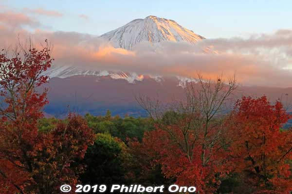 Mt. Fuji at sunset in autumn. Narusawa, Yamanashi Prefecture.
Keywords: yamanashi Narusawa mt. fuji fujimt