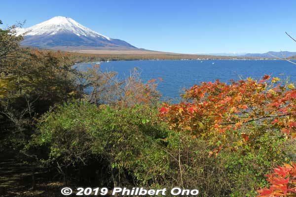 View from Lookout tower.
Keywords: yamanashi yamanakako-mura lake mt. fuji
