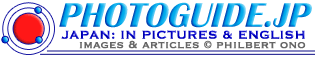 File:Site logo.png